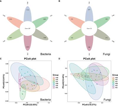 Temporal patterns of endophytic microbial heterogeneity across distinct ecological compartments within the Panax ginseng root system following deforestation for cultivation